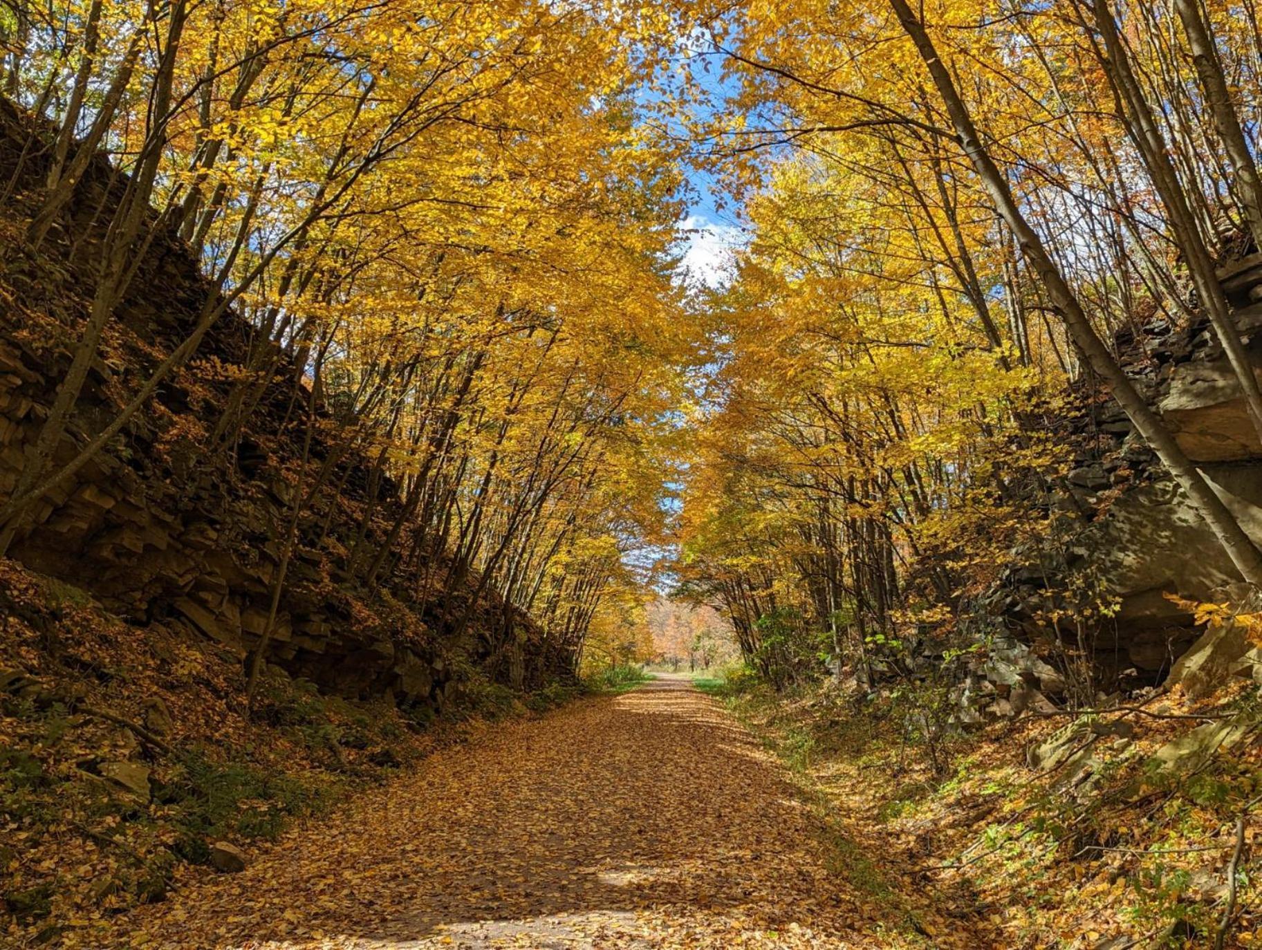 Stay In Ohiopyle In The Center Of It All, Ohiopyle, Pa المظهر الخارجي الصورة